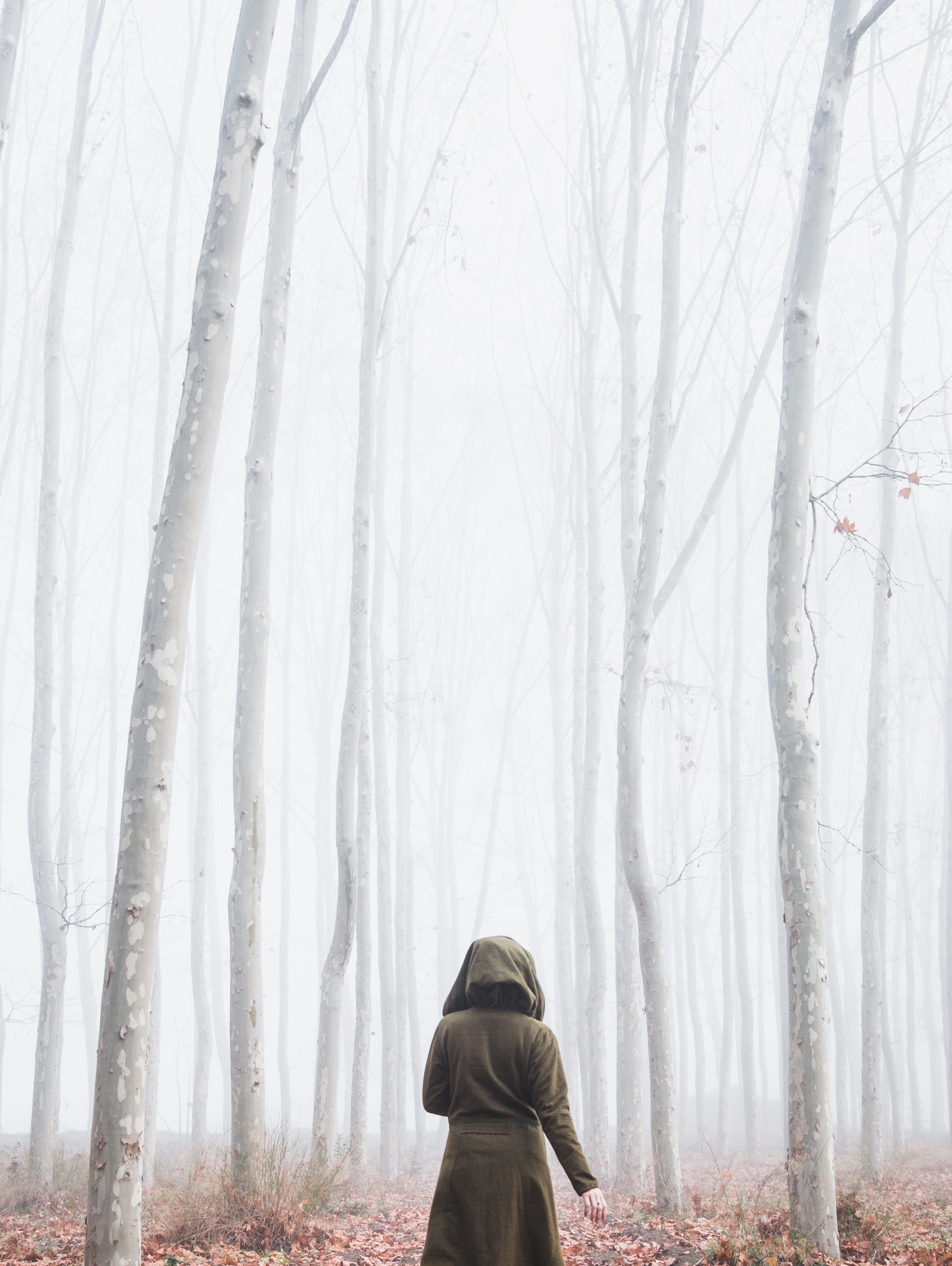 hooded female figure with back to camera in wintery woods with fallen leaves